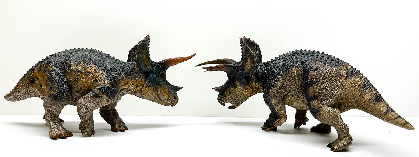 Triceratops, Male ~ "Trident Horn of Doom"