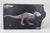 Tyrannosaurus Rex ~ “Cream” Skullwalker Version - Damaged Box Discount