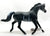 Arabian Stallion, Black Rabicano