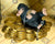 Niffler™ with Gold - Harry Potter Wizarding World-Fantastic Beasts™