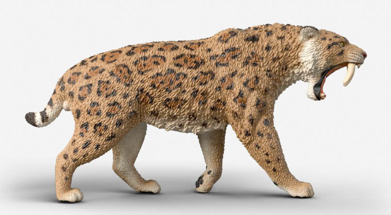 Smilodon (Sabertooth Cat) - ADVANCE SALE