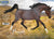 Trotting Arabian Mare ~ Picante - SOLD OUT