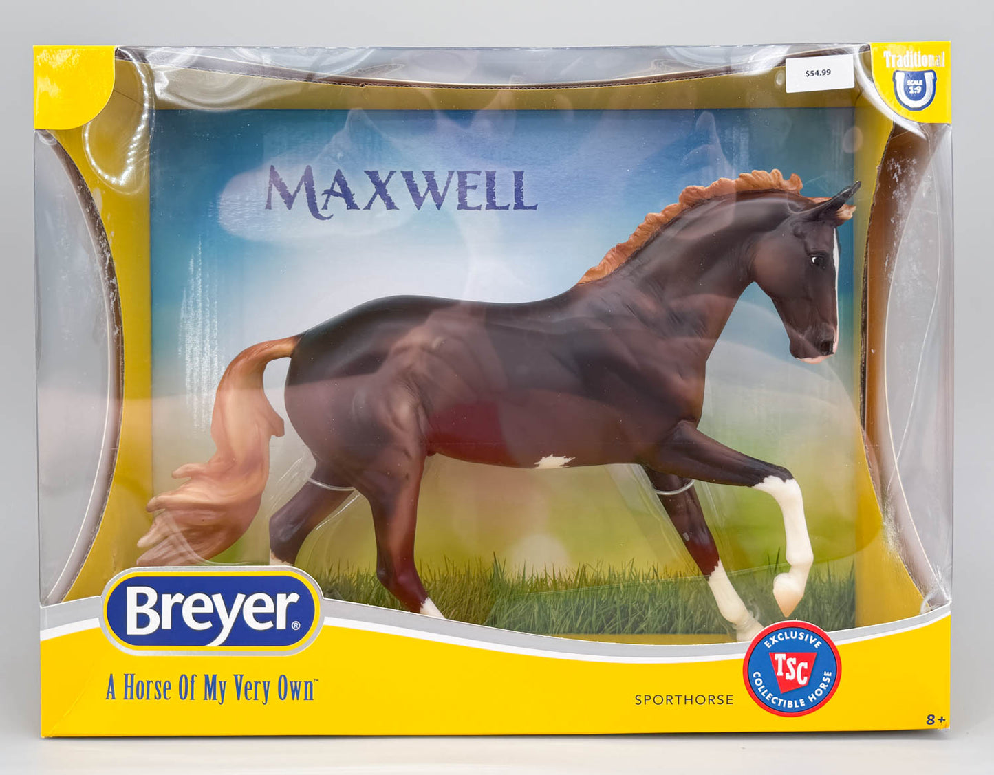 Cantering Warmblood ~ Maxwell - 2026 TSC SR