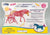 Haflinger Mare and Foal ~ Cotton Sparkle & Sugar Puff - Unicorn & Foal Set