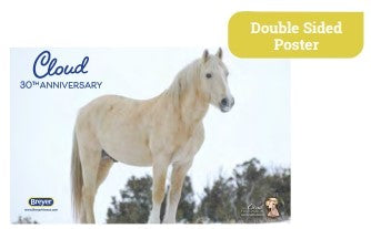 Desatado ~ Cloud - 30th Anniversary Edition - ADVANCE SALE