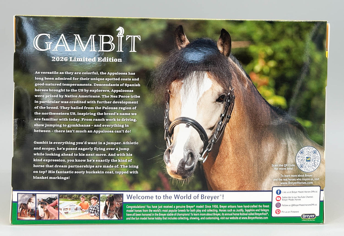 Newsworthy ~ Gambit - 2026 Flagship Model (AUCTION)