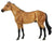 Geronimo ~ Ideal Series Buckskin - ADVANCE SALE