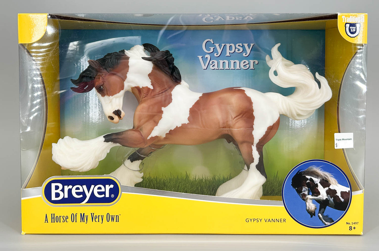 Gypsy Vanner, Bay Pinto