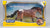 Australian Stock Horse ~ Mr. Shining Gun