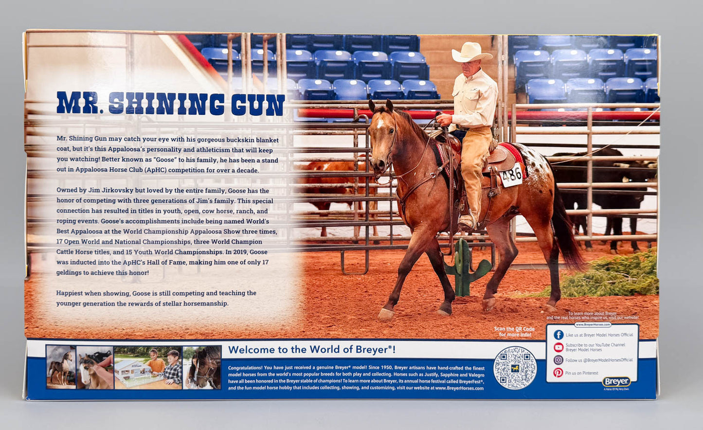 Australian Stock Horse ~ Mr. Shining Gun
