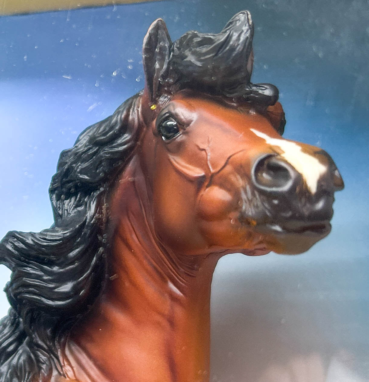 Mustang Mare ~ Martina - TSC SR 2025