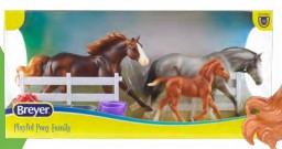 Playful Pony Family - ADVANCE SALE