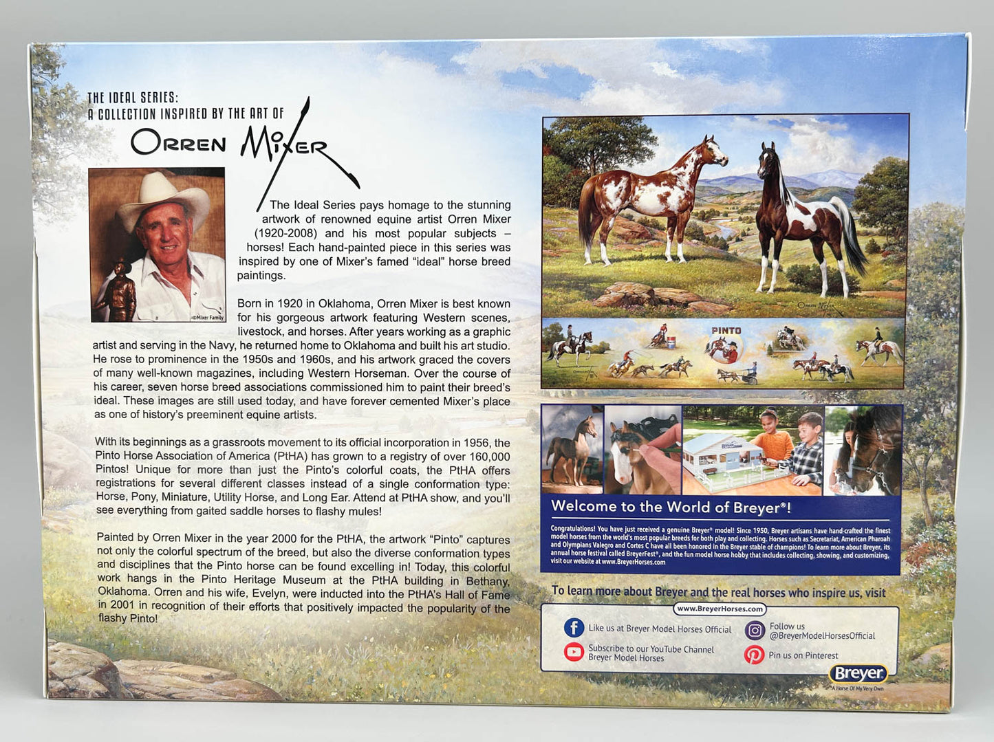 Racking Saddlebred ~ Mixer Ideal Series Pinto