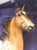 Saddlebred Stallion - 75th Anniversary Saddlebred (25th Birthday)