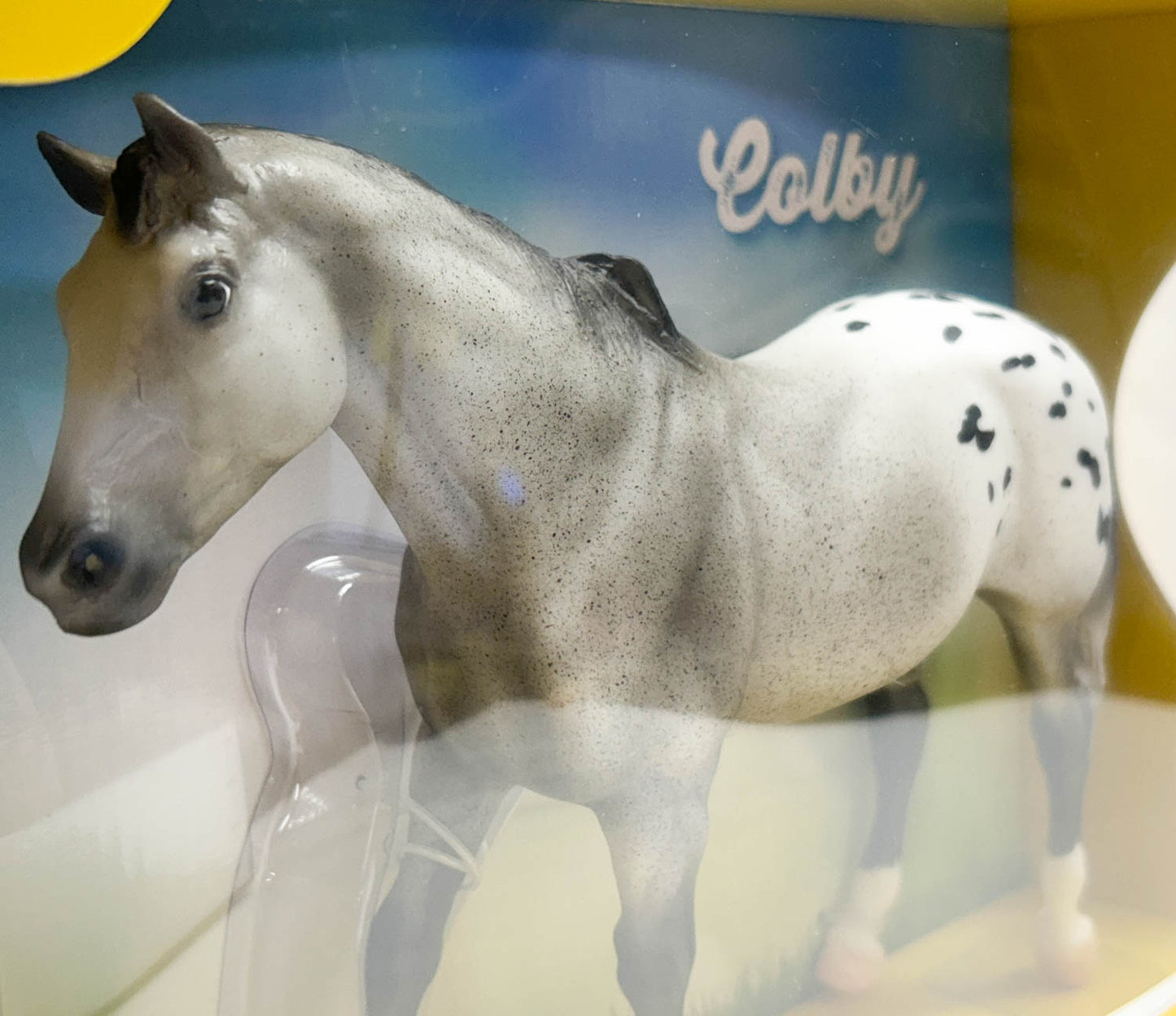 San Domingo ~ Colby - TSC SR 2025