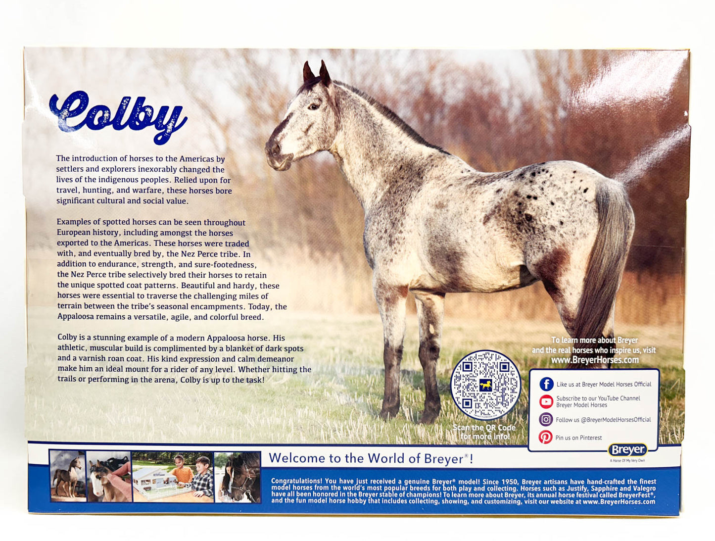 San Domingo ~ Colby - TSC SR 2025