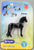 Standing Friesian, Black