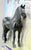 Standing Friesian, Black