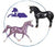 Unicorn Foal Surprise Family: Kit, Prince Charming and (? Foal) - ADVANCE SALE