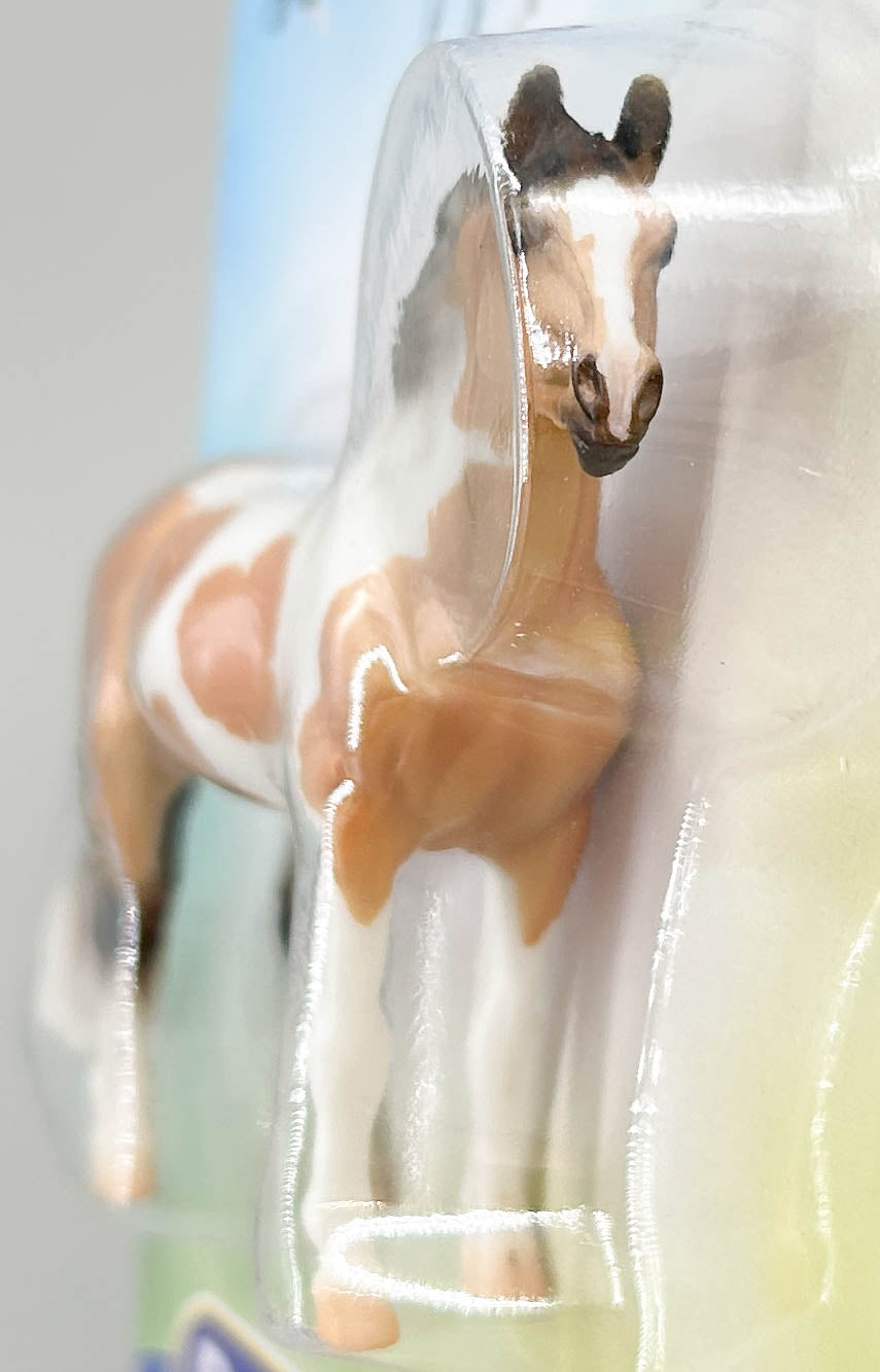 Warmblood Mare, Buckskin Pinto