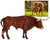 Texas Longhorn Bull - ADVANCE SALE