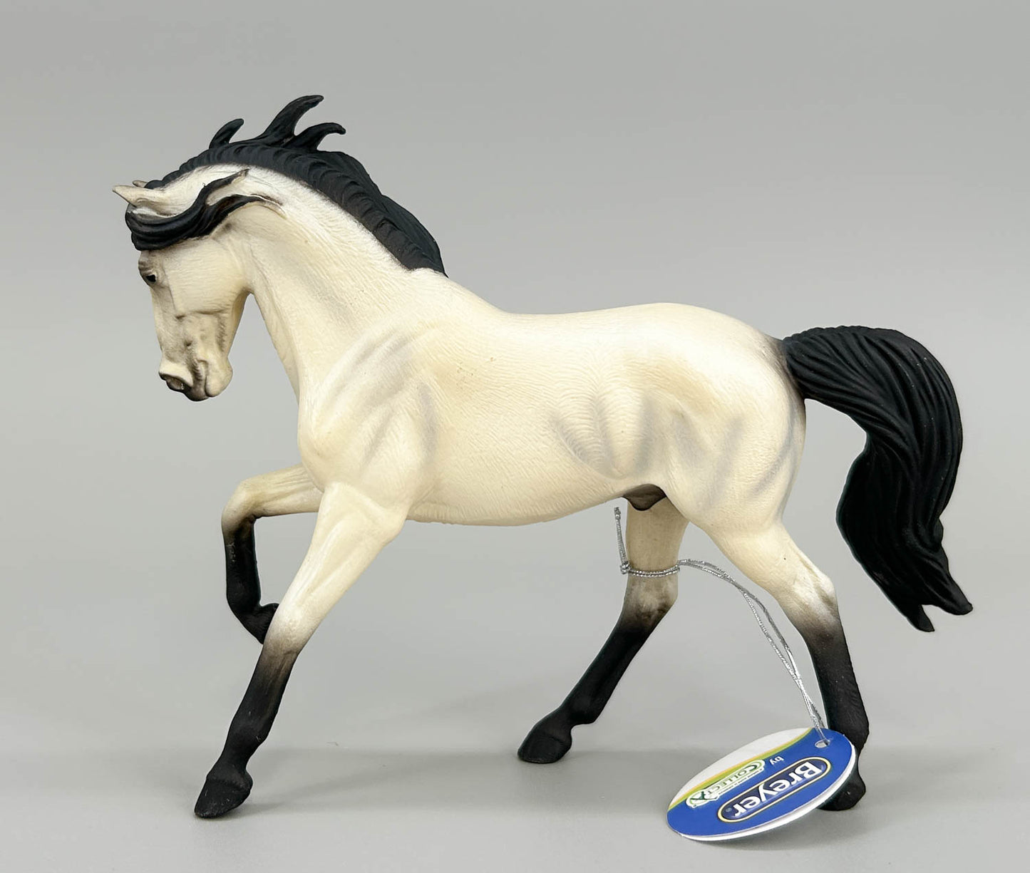 Andalusian Stallion, Grey