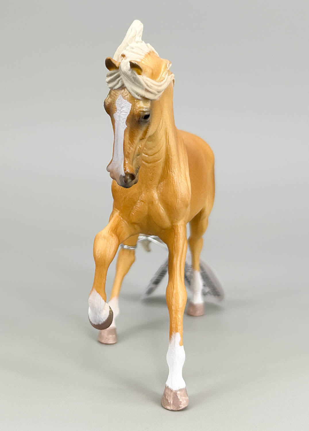 Andalusian Stallion, Palomino