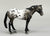 Appaloosa Stallion, Blue Roan