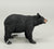American Black Bear