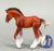 Clydesdale Foal, Bay