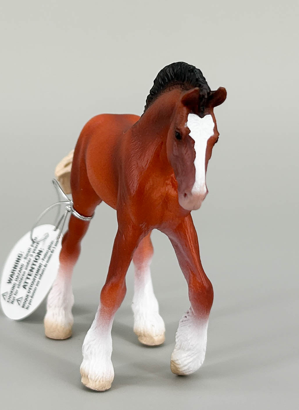 Clydesdale Foal, Bay