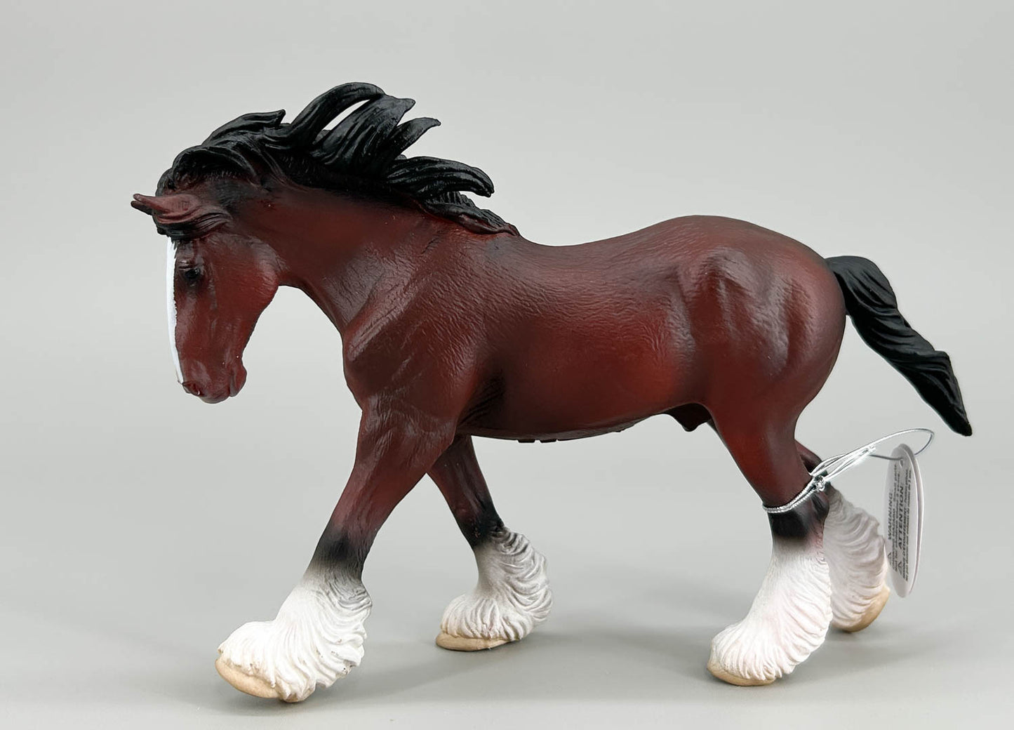 Clydesdale Stallion, Bay