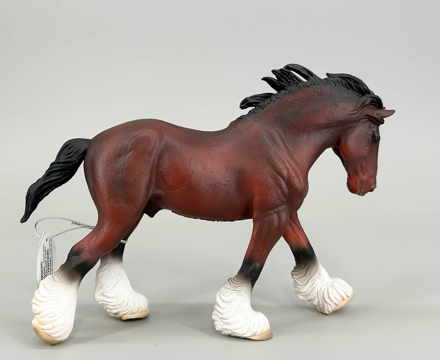 Clydesdale Stallion, Bay