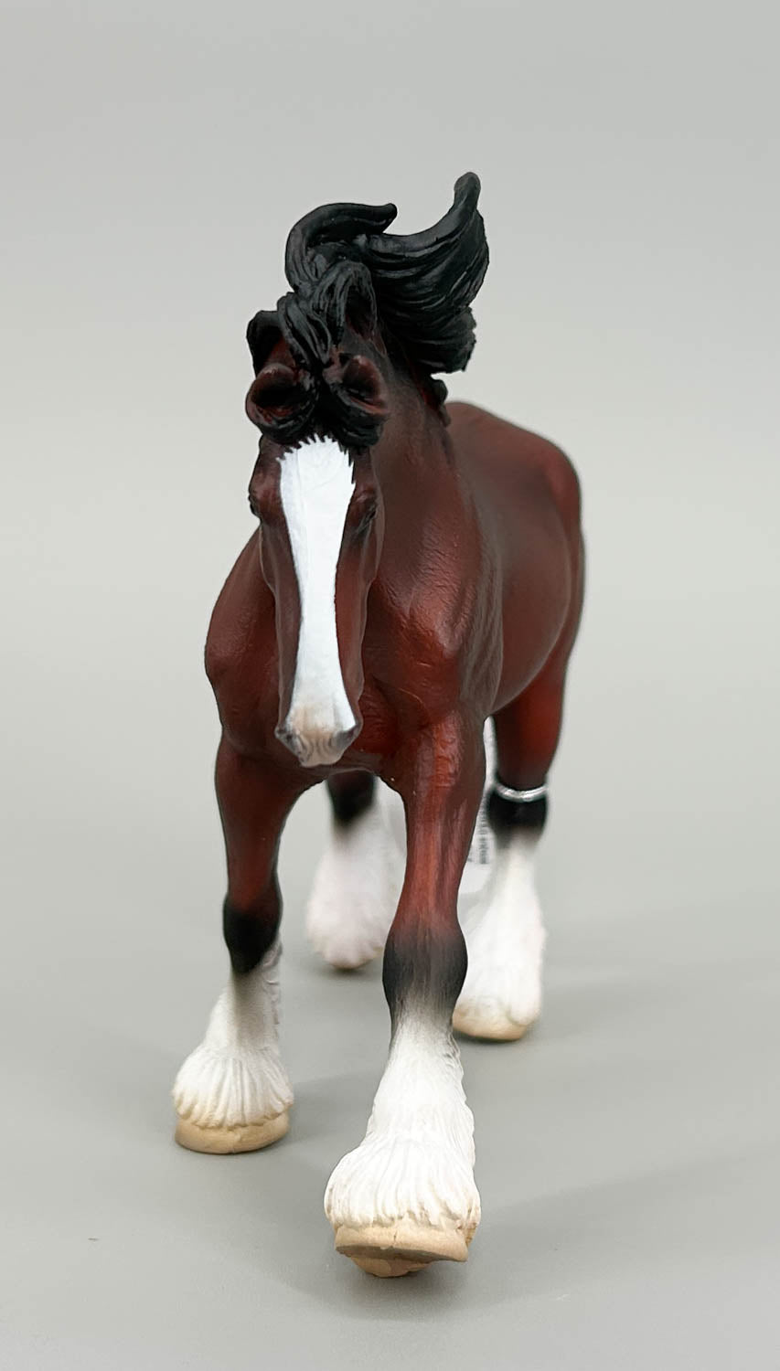 Clydesdale Stallion, Bay