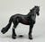 Friesian Stallion