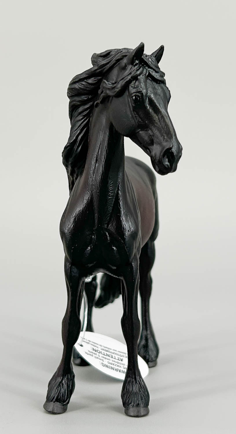 Friesian Stallion