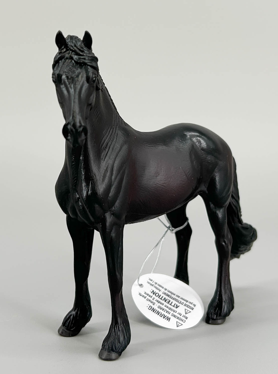 Friesian Stallion