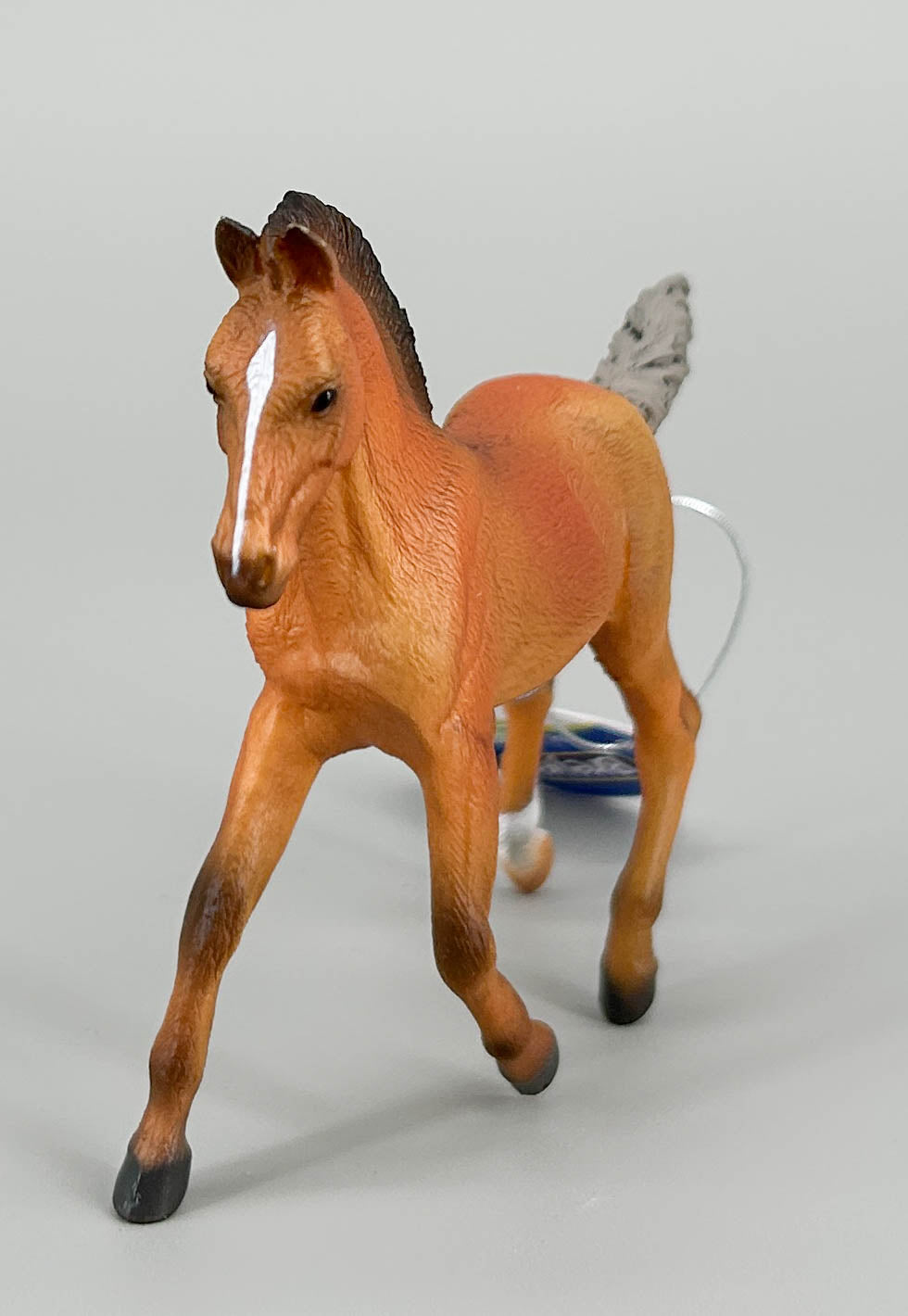 Hanoverian Foal, Silver Bay