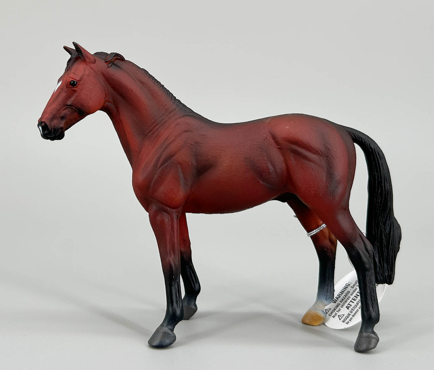 Hanoverian Stallion, Bay