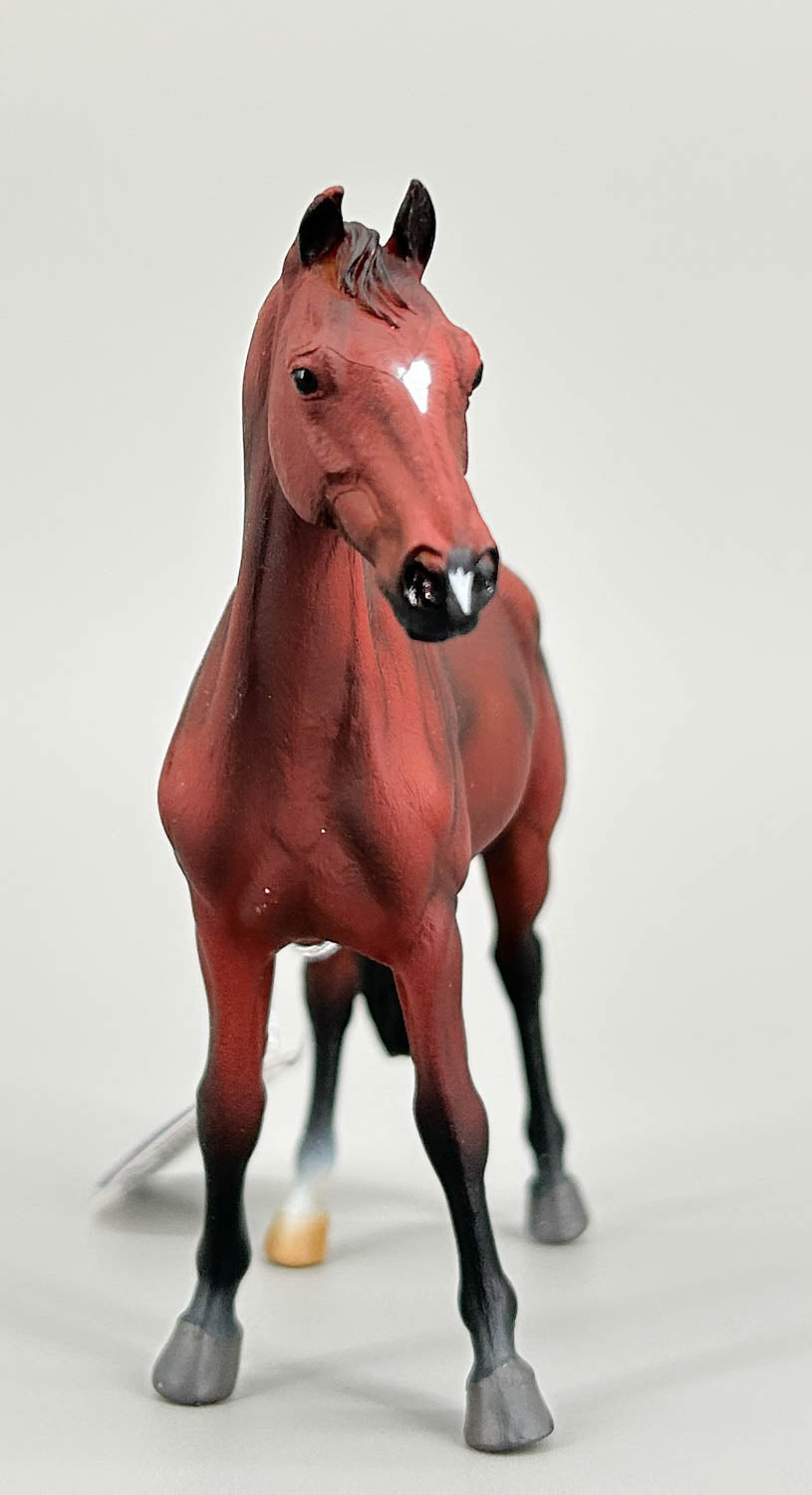 Hanoverian Stallion, Bay