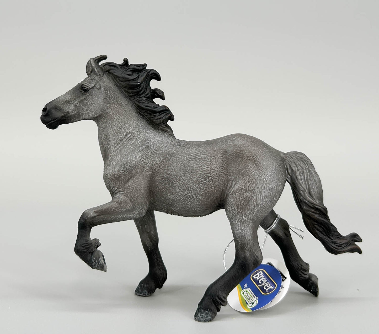 Icelandic Stallion, Grulla