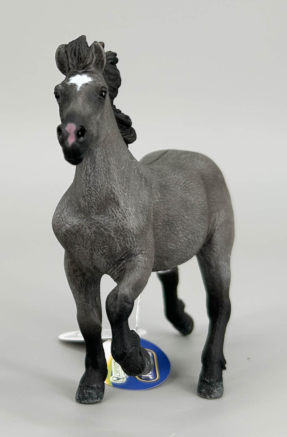 Icelandic Stallion, Grulla