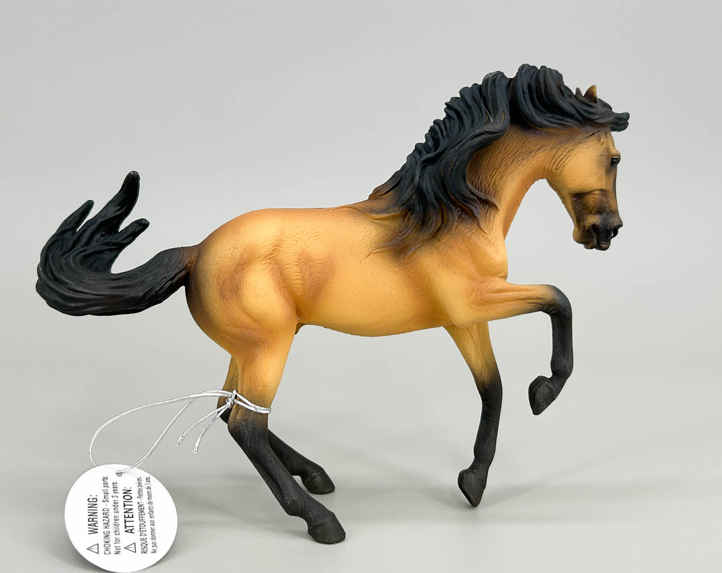 Lusitano Stallion, Buckskin