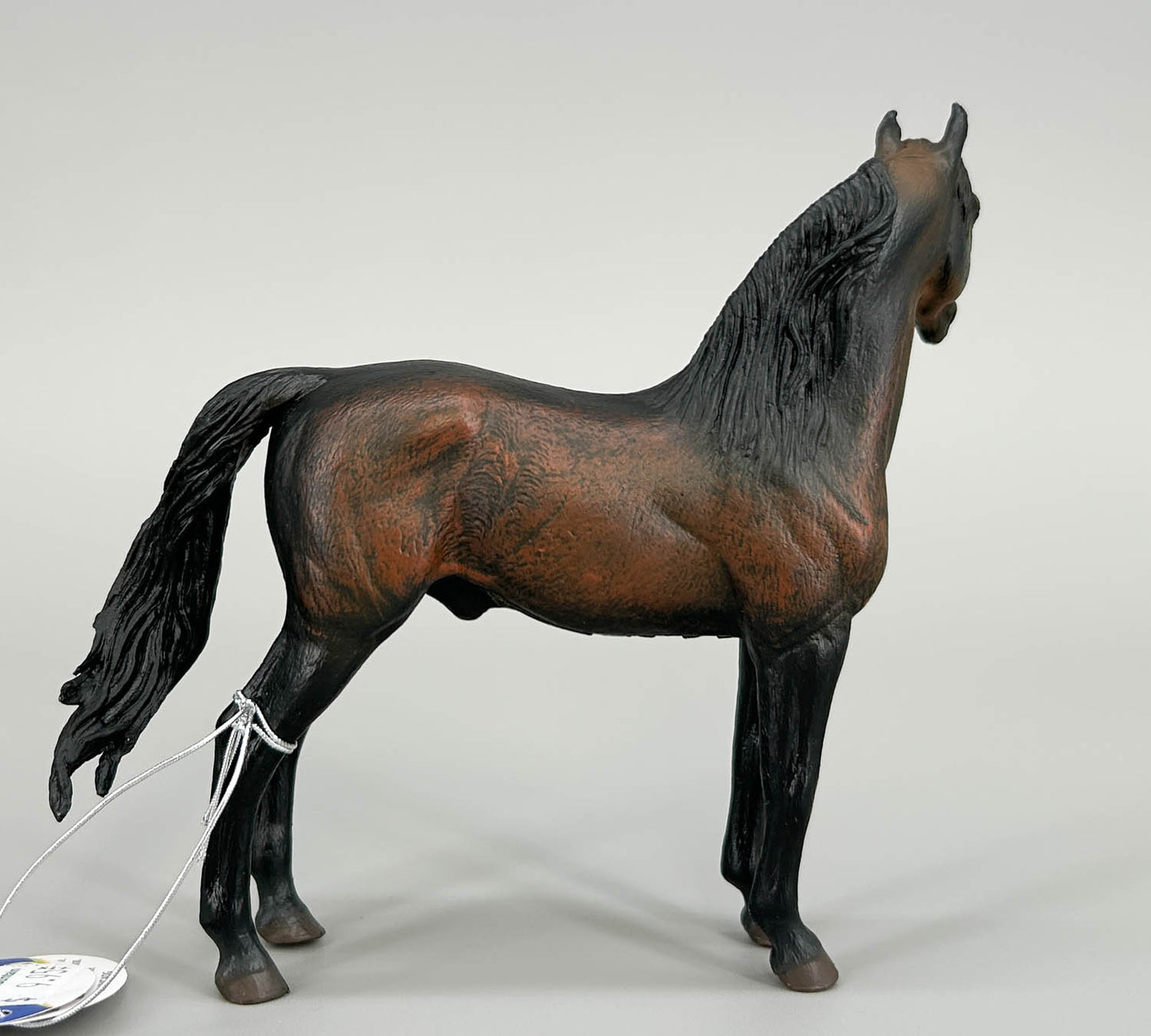 Morgan Stallion, Bay