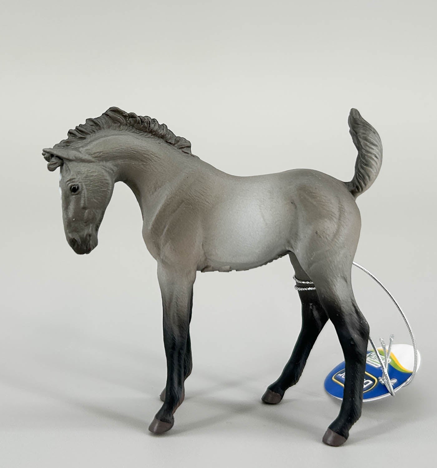 Mustang Foal, Grulla