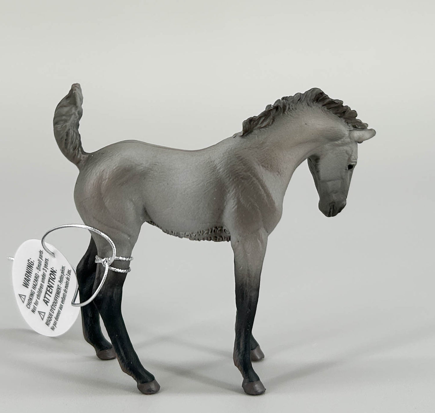 Mustang Foal, Grulla