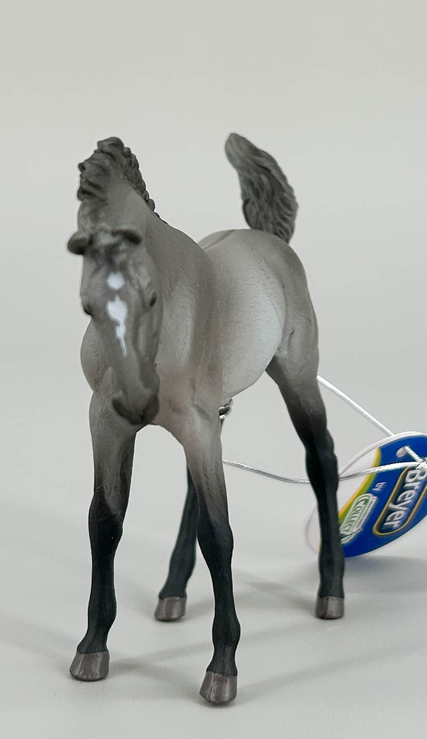 Mustang Foal, Grulla