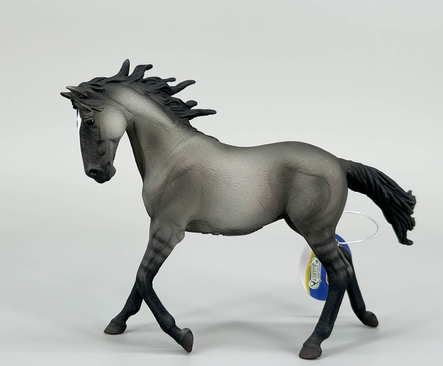 Mustang Mare, Grulla