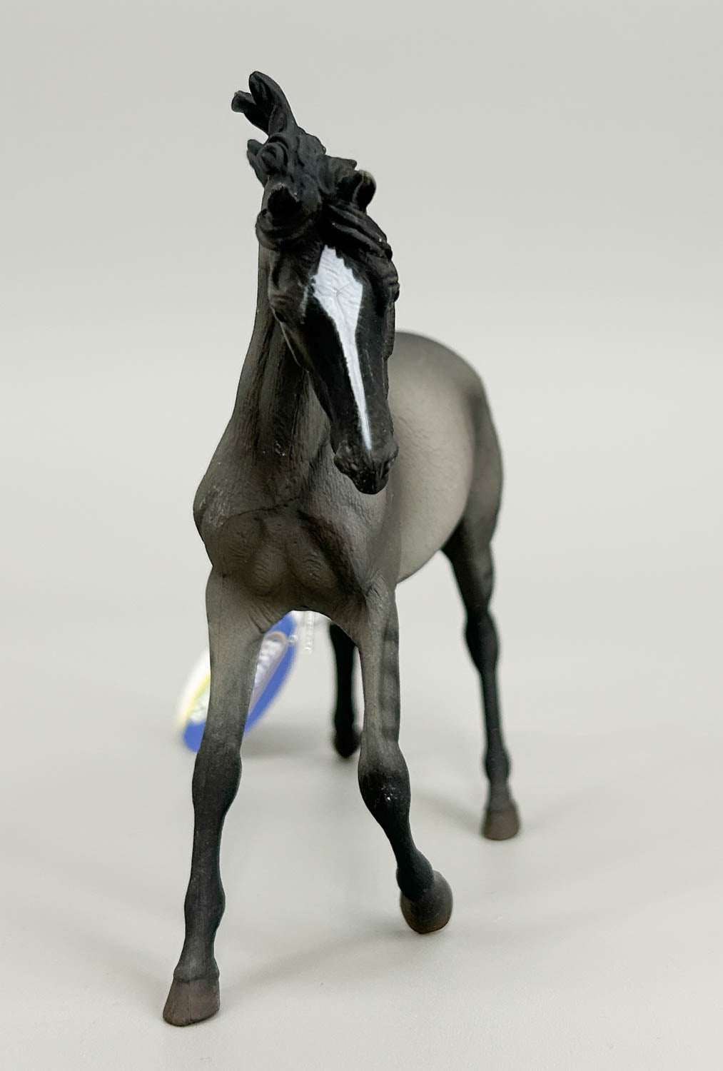 Mustang Mare, Grulla