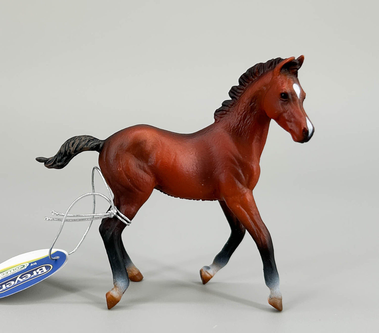 Quarter Horse Foal, Bay